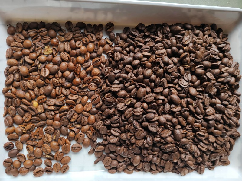 Máquina clasificadora de colores de granos de café tostado súper mini