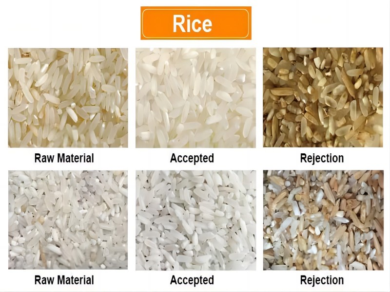 Clasificadora de color de arroz con precio de fábrica económico