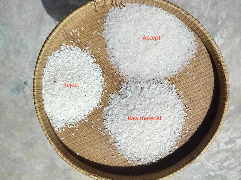 Caso de cliente de máquina clasificadora de arroz por color en Vietnam