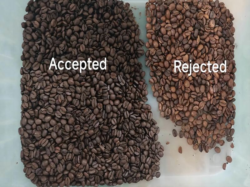 Caso de cliente de clasificación de granos de café en Brasil