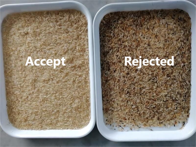 Caso de cliente de clasificador de arroz por color en Tanzania