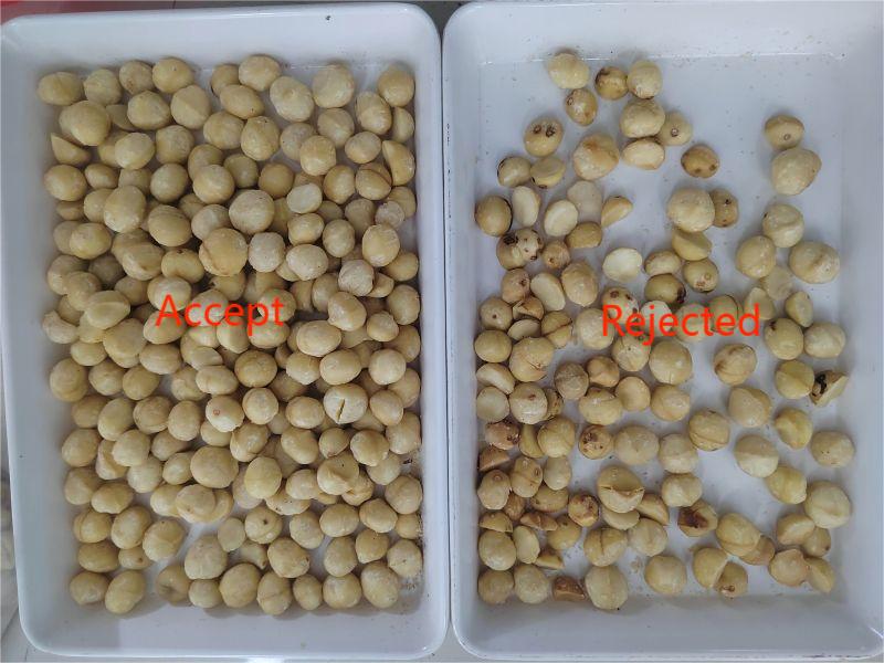 TOPSORT máquina clasificadora de nueces de macadamia buenas y malas