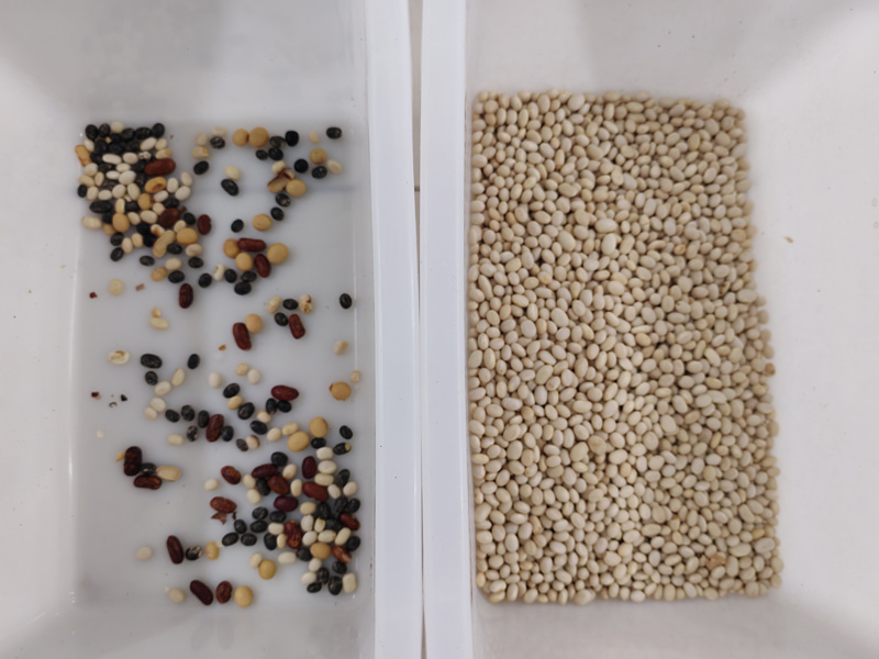 Mini clasificadora de color TOPSORT para frijol blanco con excelente rendimiento