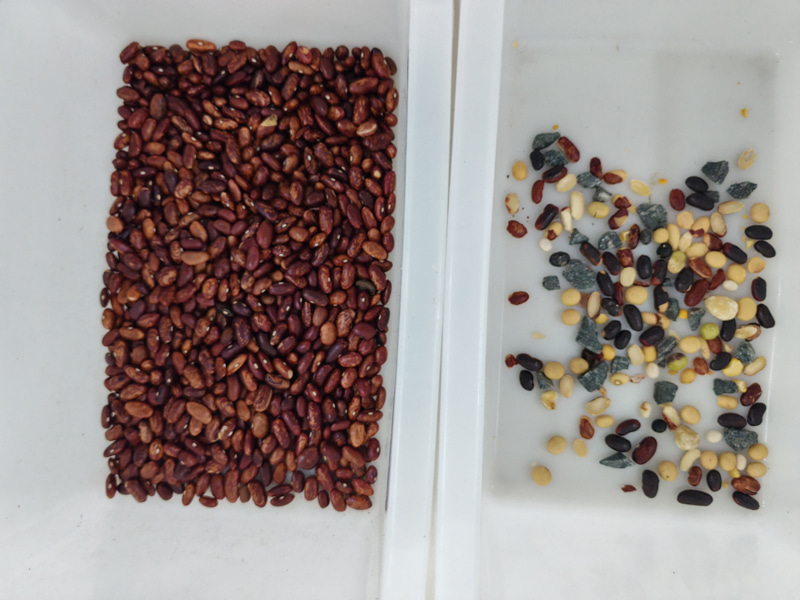 Mini clasificadora de color de frijoles TOPSORT con buen rendimiento de clasificación