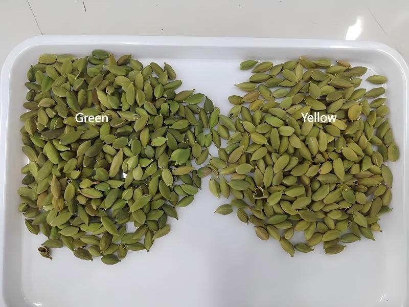 Clasificadora de color de cardamomo Topsort con gran rendimiento