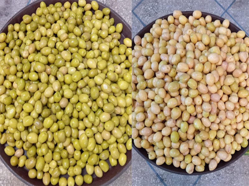Clasificadora de aceitunas por color TOPSORT resistente al agua desde el sitio del cliente