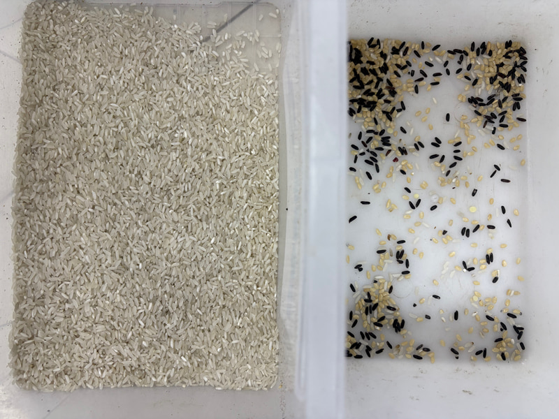 TOPSORT High sorting accuracy mini rice color sorter