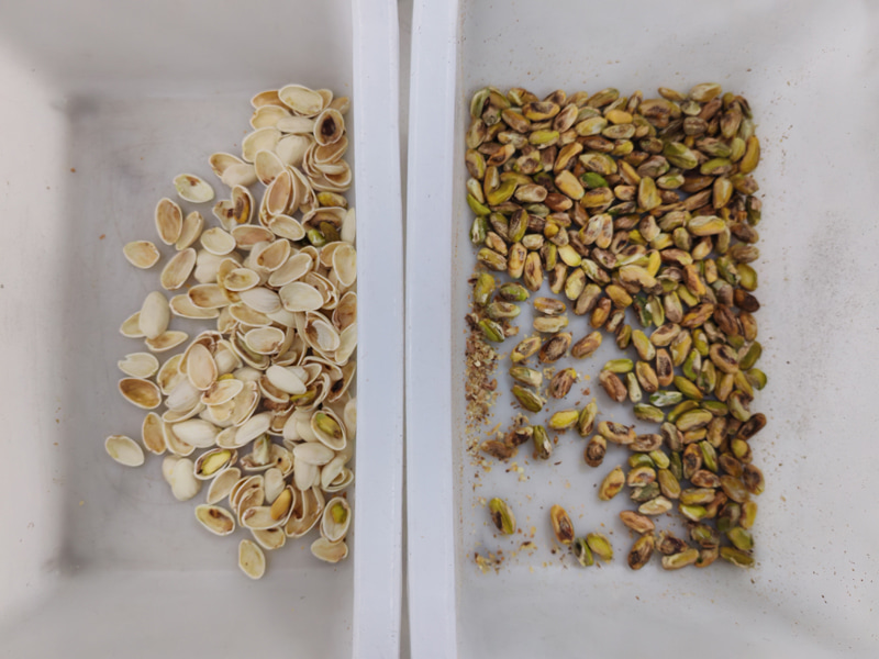 Máquina clasificadora de color de pistachos Topsort Super Mini