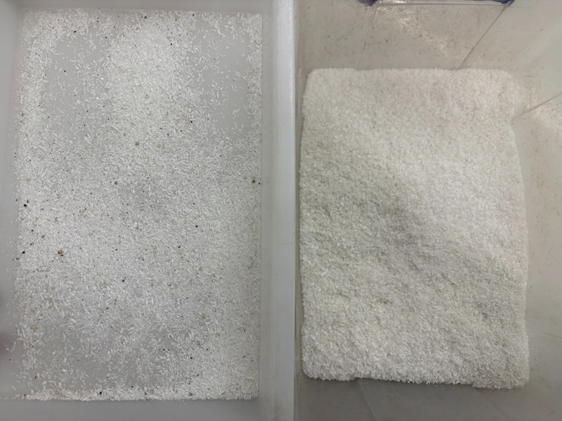 Clasificador de color con IA de hojuelas de coco de alta precisión TOPSORT