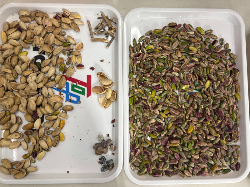 TOPSORT clasificador de color pistacho con IA y los últimos algoritmos de aprendizaje profundo.