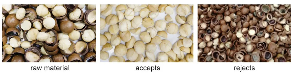 ai sorter for nuts