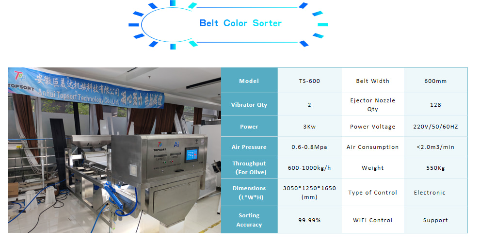 color sorter with AI 